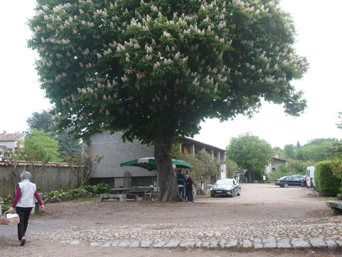 Cour - La Ferme Graverolle